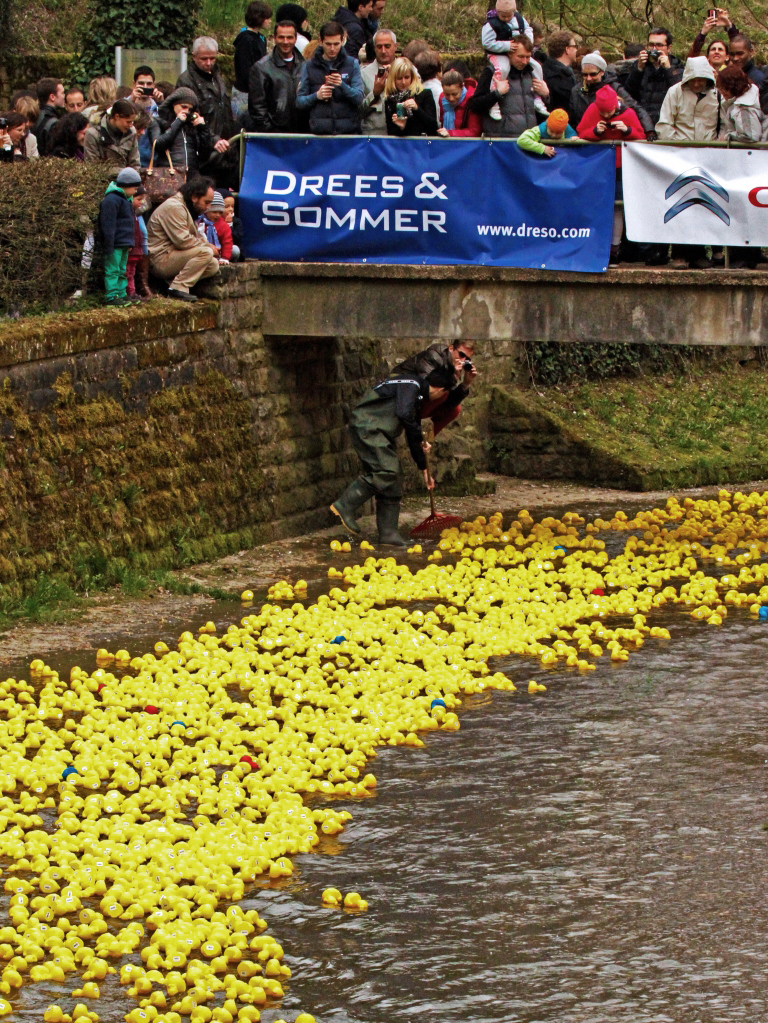 201304 Move and Duck rally 148