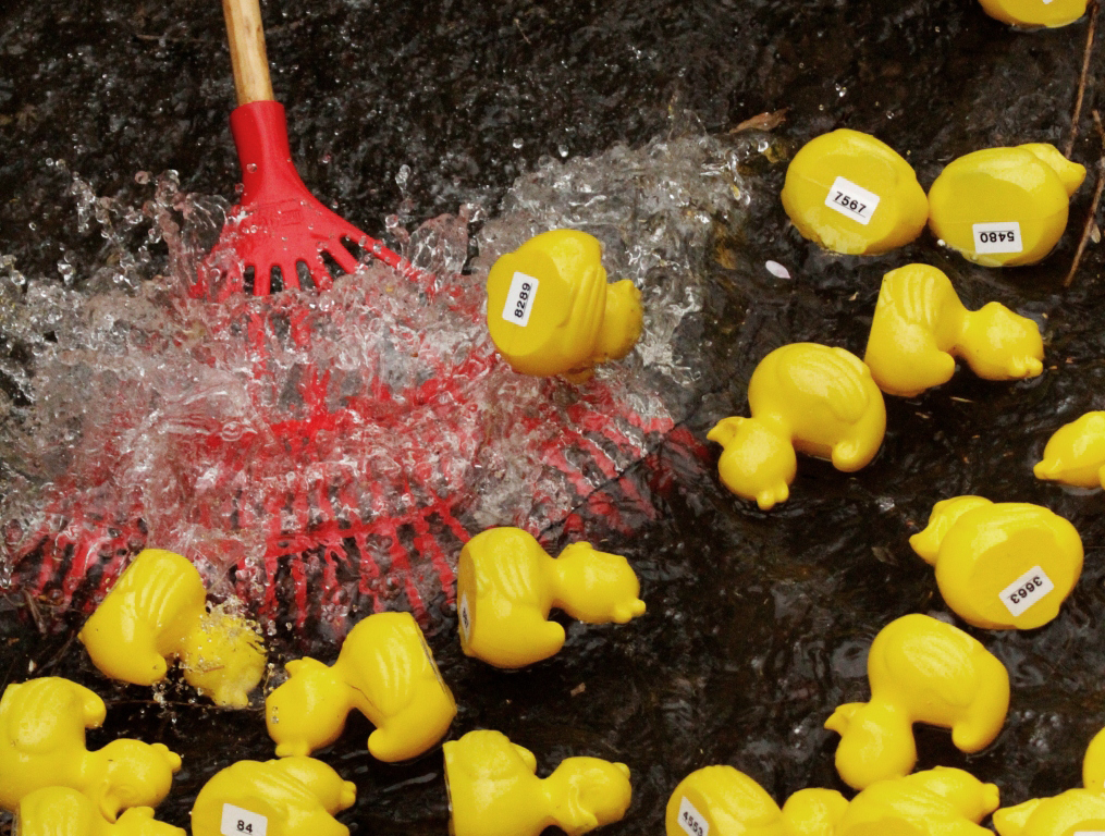 201304 Move and Duck rally 179