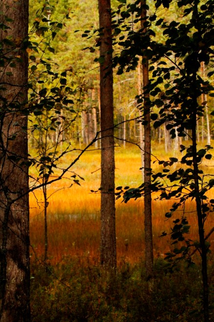 201309 Denise in Europe 1062