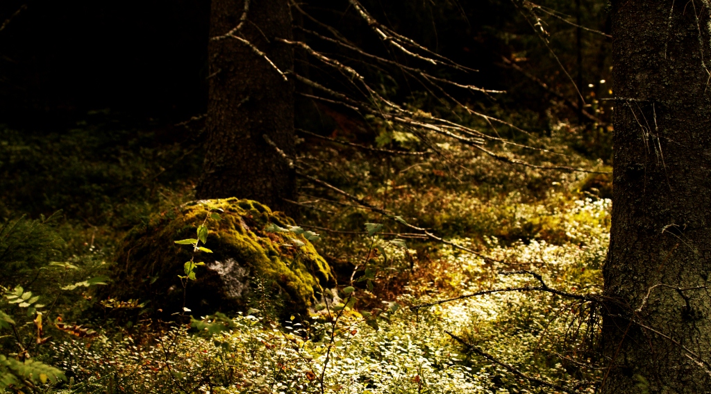 201309 Denise in Europe 1068