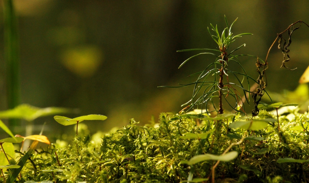 201309 Denise in Europe 1074