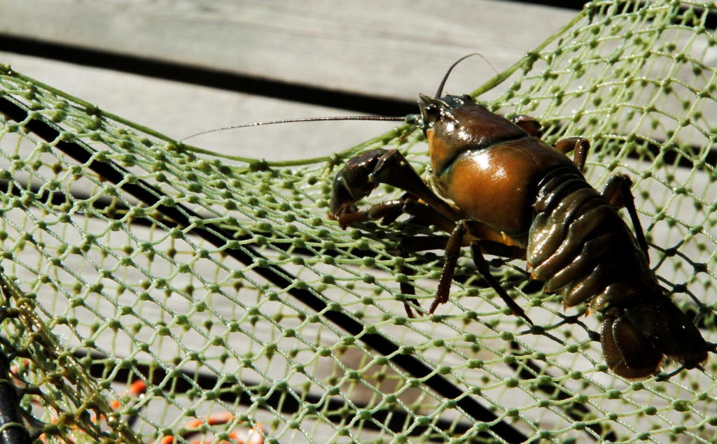 201309 Denise in Europe 501