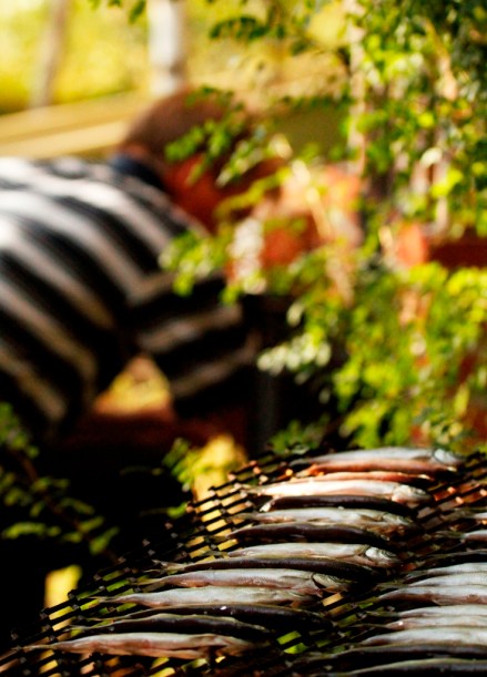 201309 Denise in Europe 628