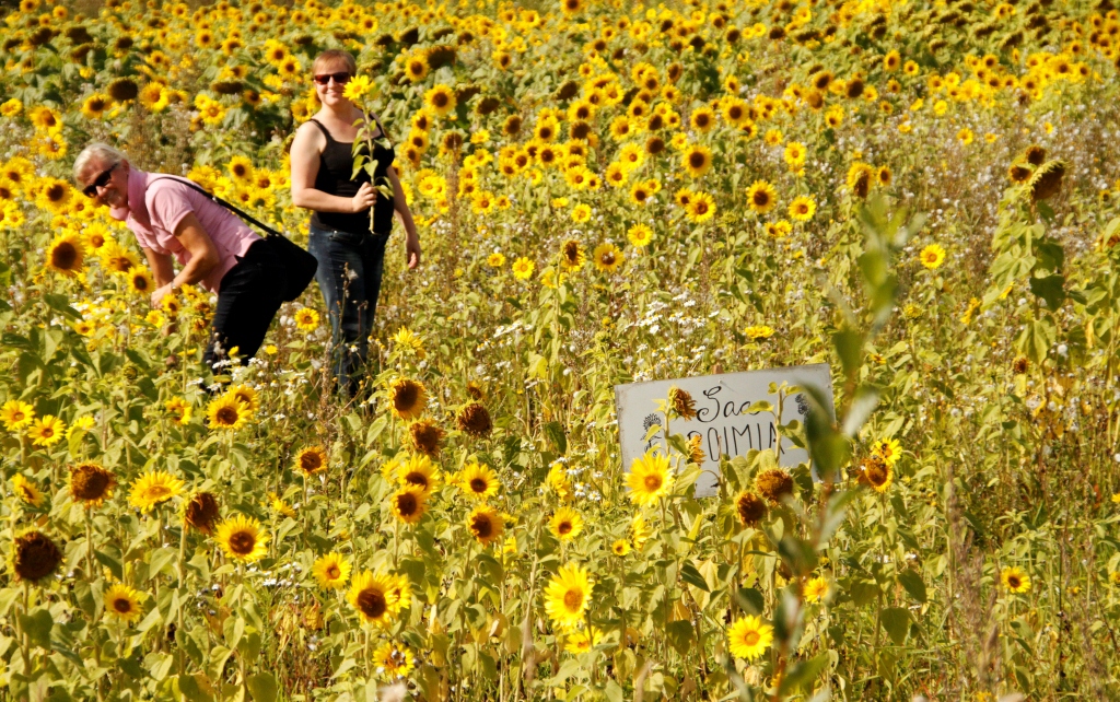 201309 Denise in Europe 847