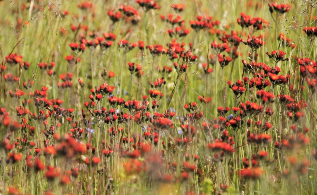 201307 Germany-Czech roadtrip 846
